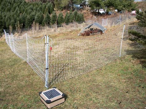 premier electric fencing for chickens